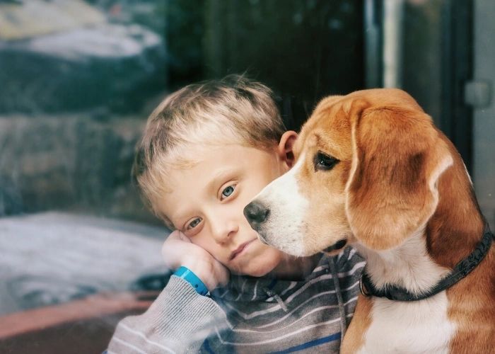 sad little boy with white and brown dog