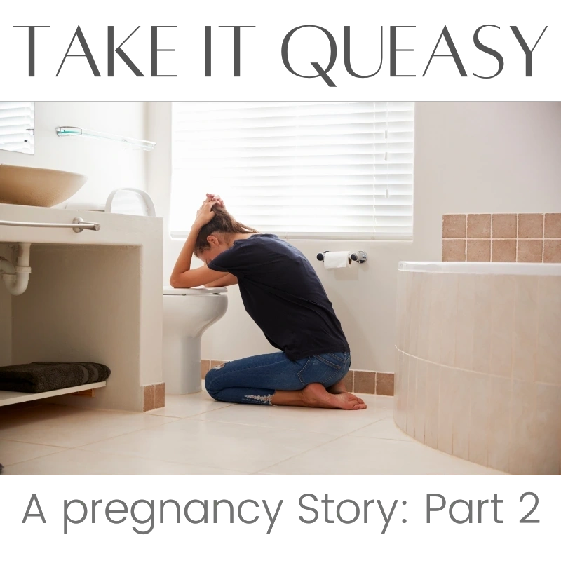 Take It Queasy: A Pregnancy Story Part 1