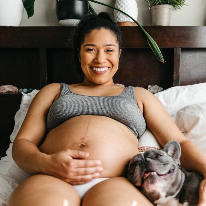 A pregnant woman relaxing on her bed, holding her french bulldog. House plants are in the background while nature light comes in through the window.